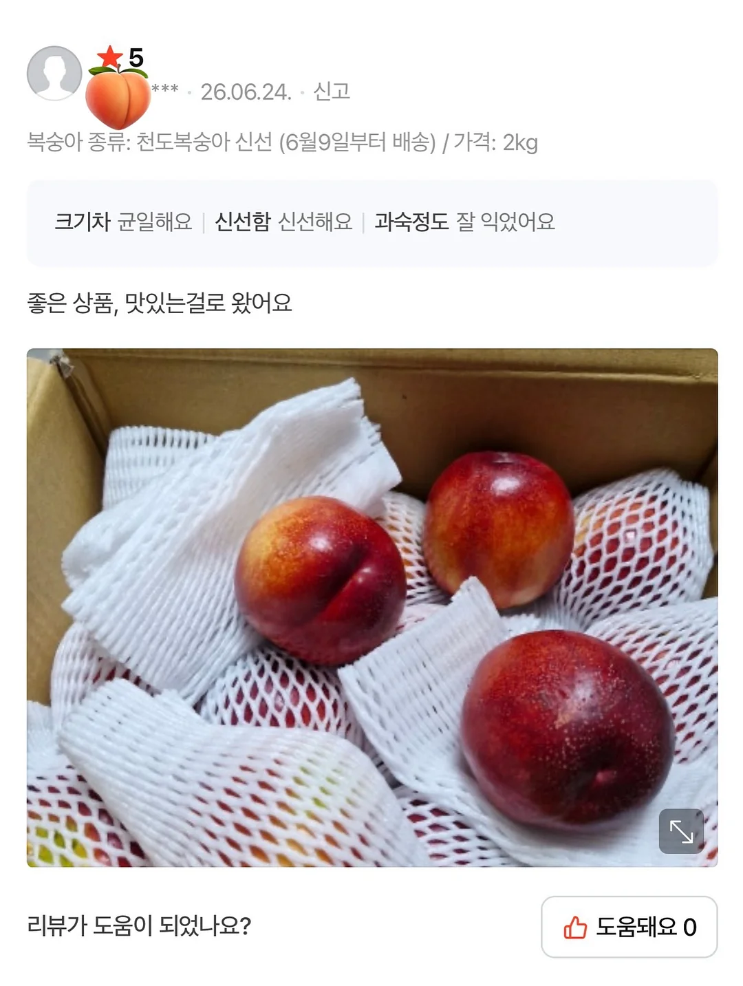 백자 달항아리 5