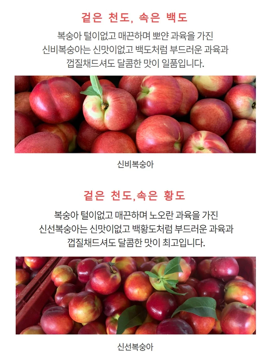 여름 신발 3