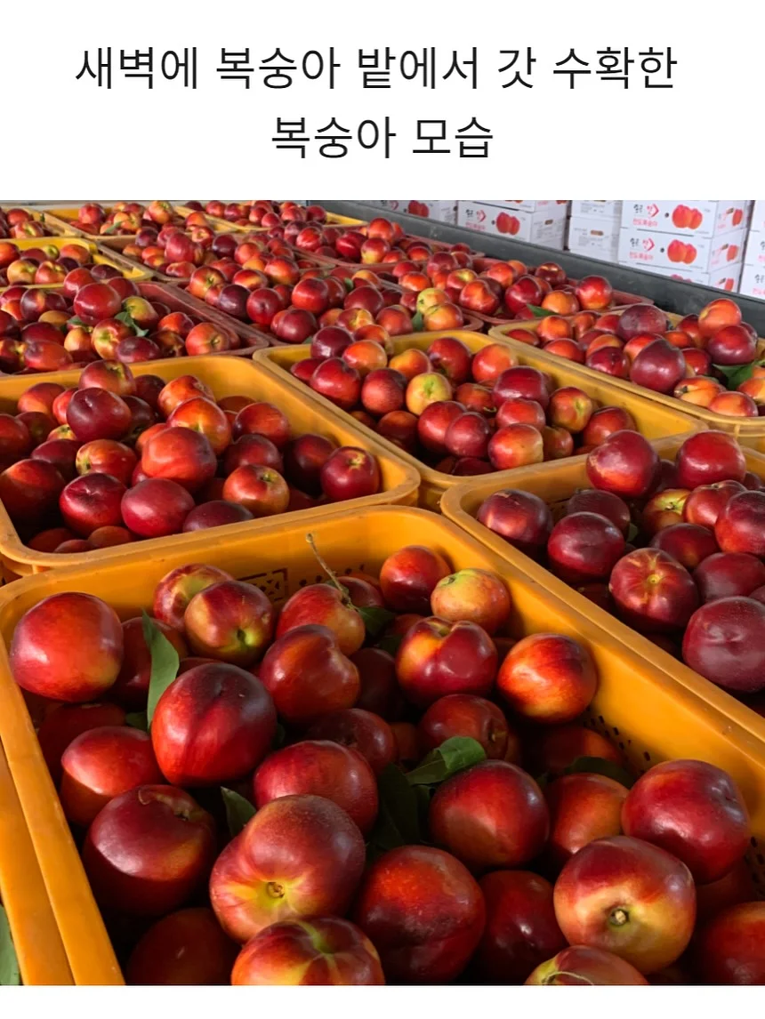 여름 신발 7