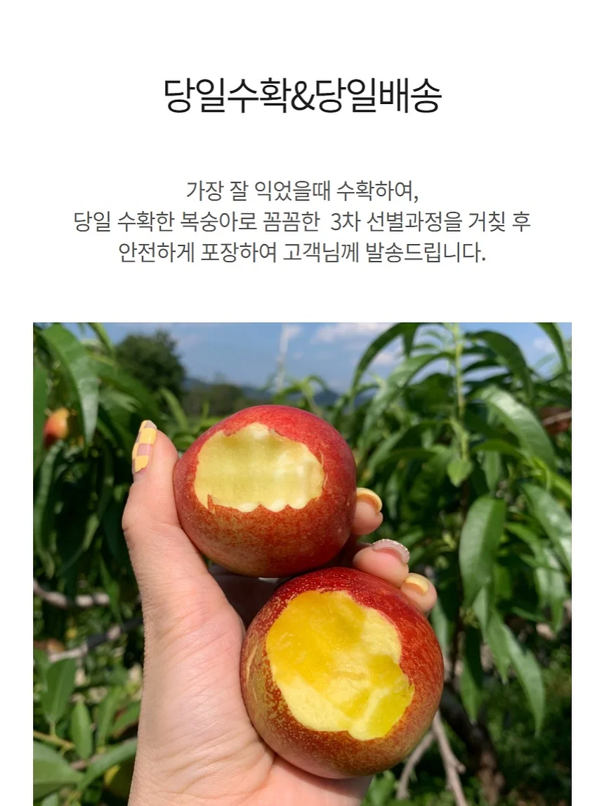 여름 신발 8
