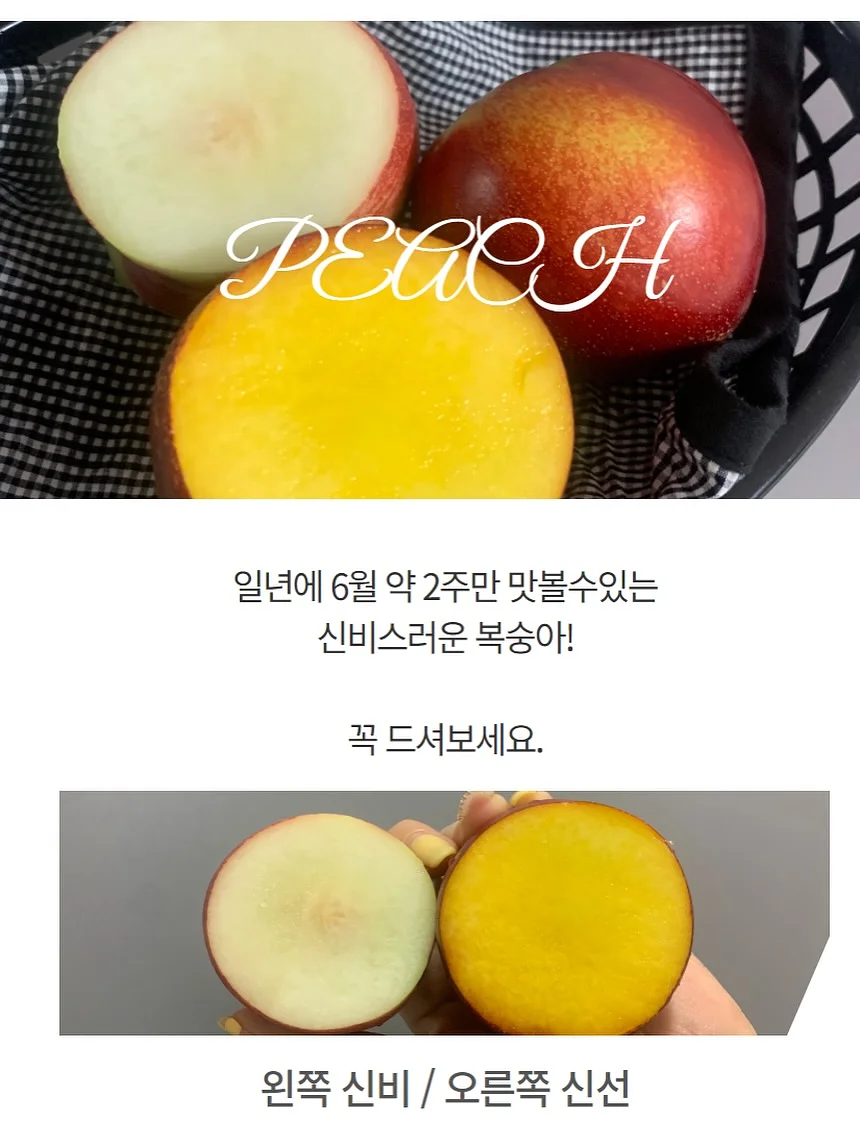 여름 신발 9
