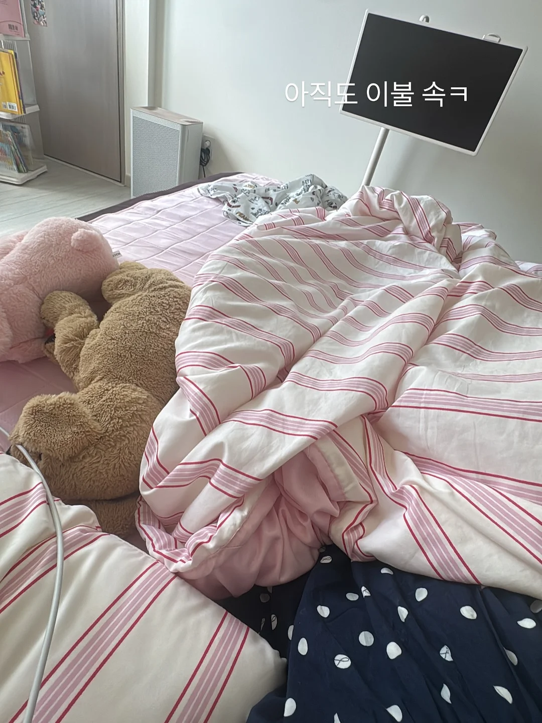 토노 솔리드 밸런스 러그 클라우드크림 2
