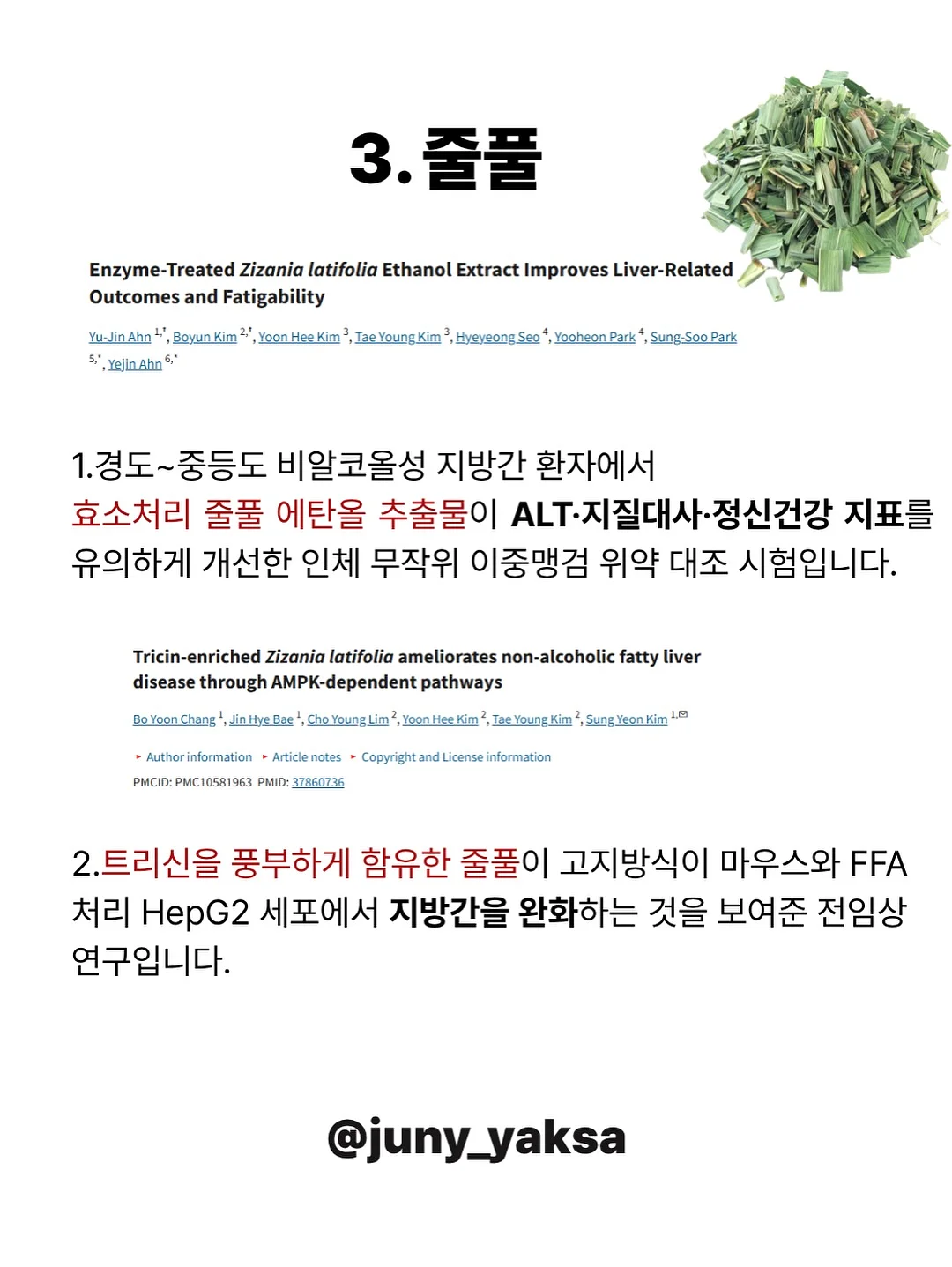 전통 미역 5