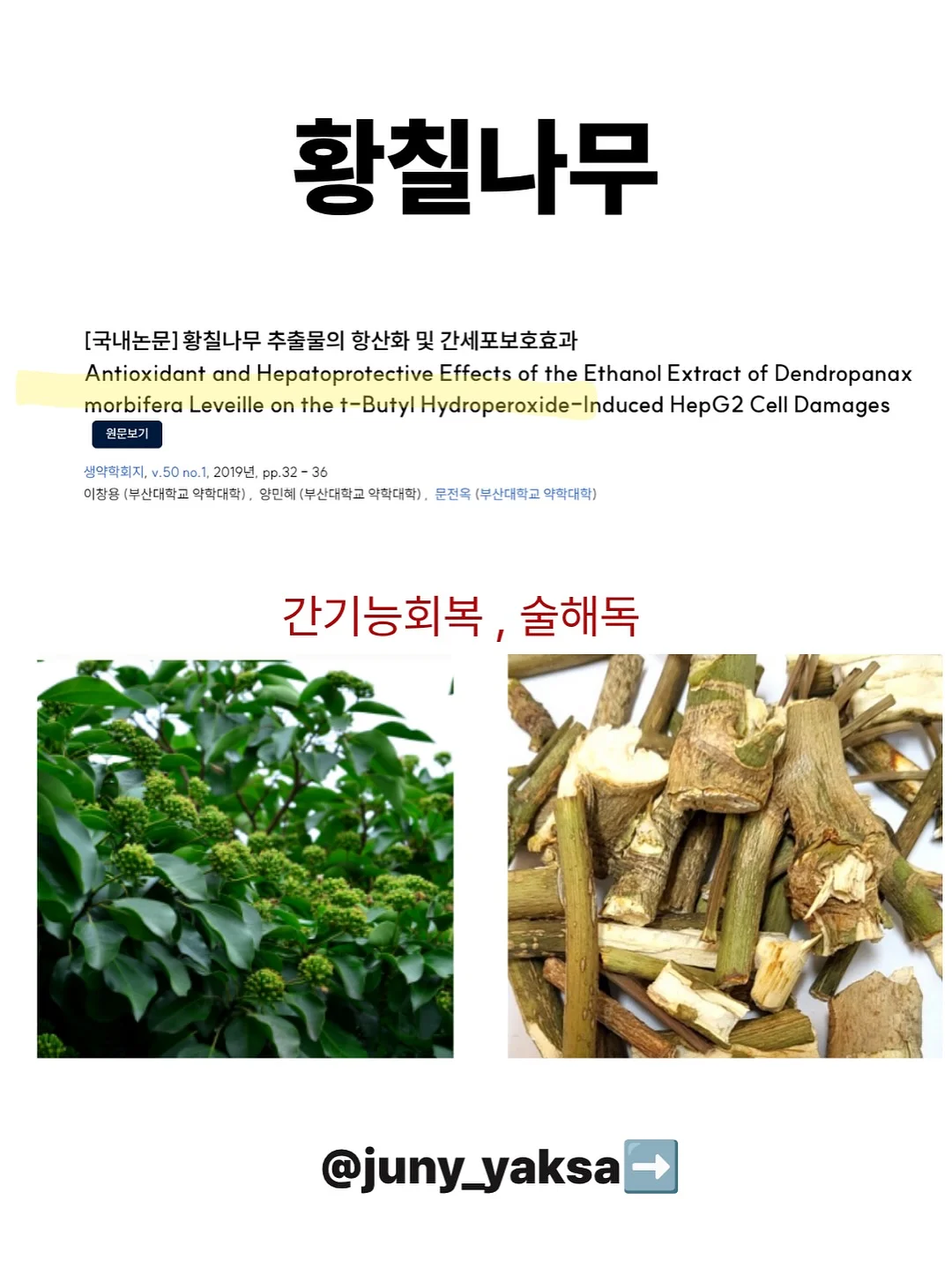 전통 미역 6