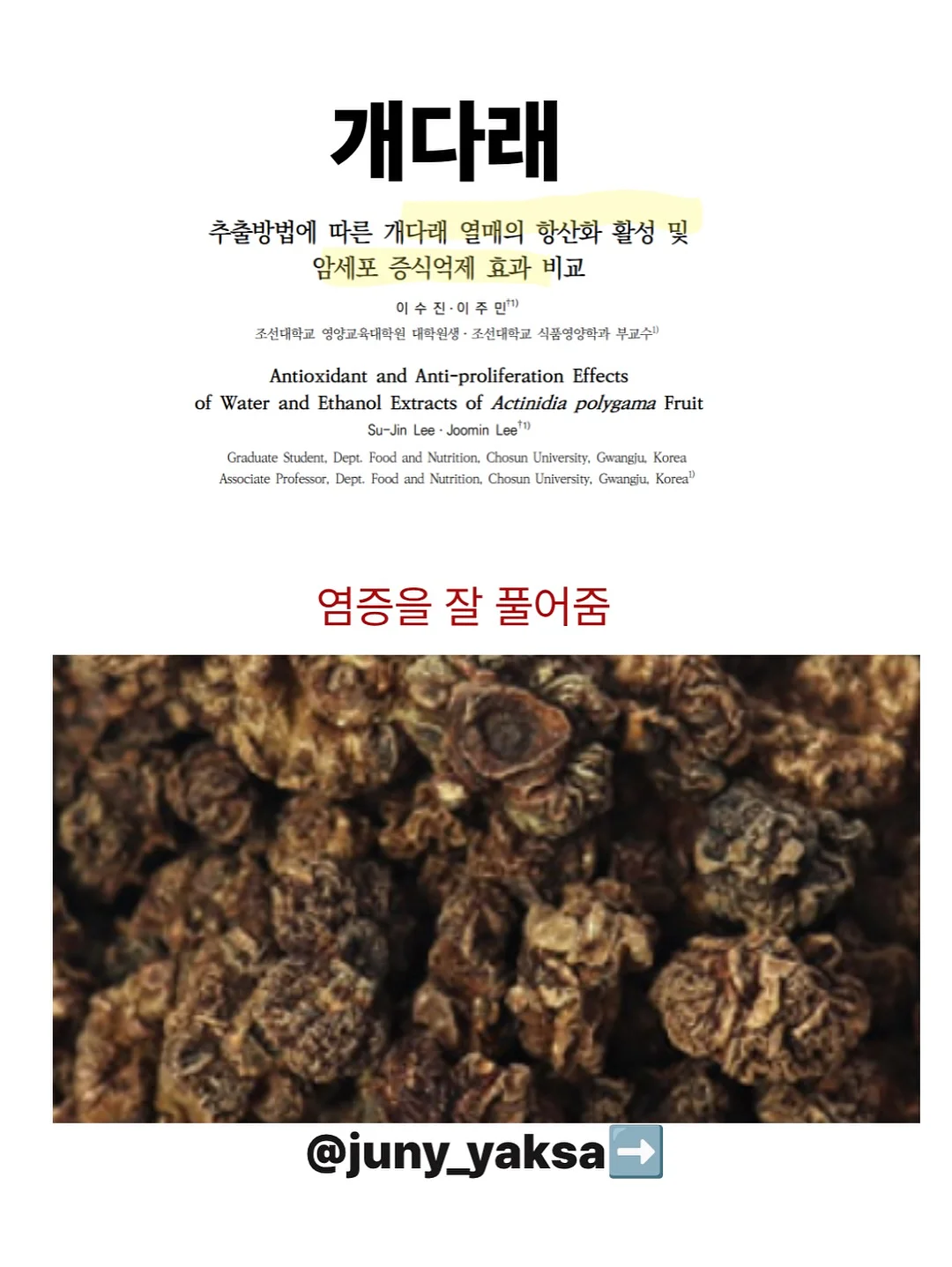 전통 미역 7