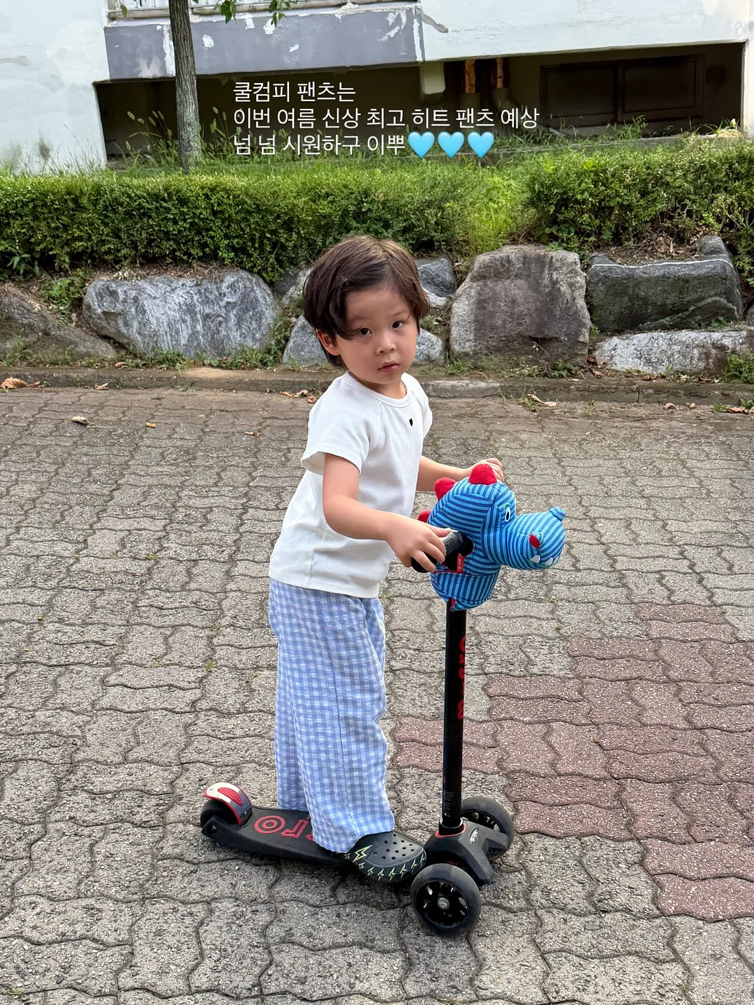베어티 9