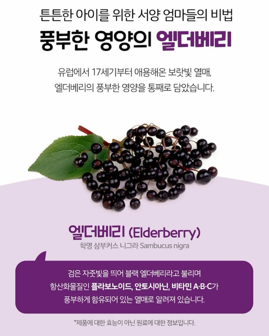 퀸즈베리 블루베리 14