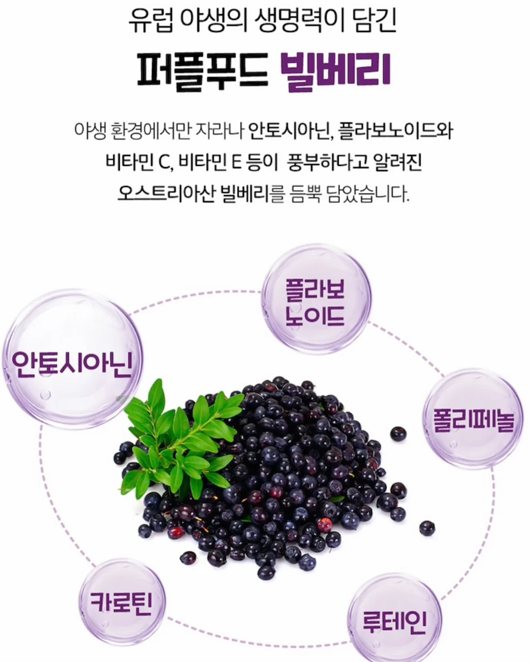 퀸즈베리 블루베리 15