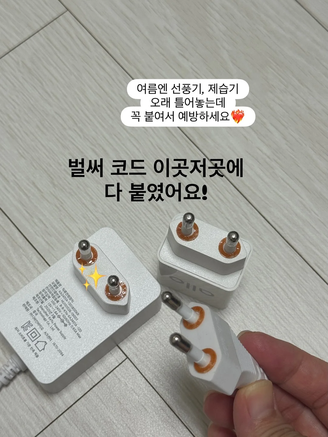 곤충 관찰 체험 수업 8