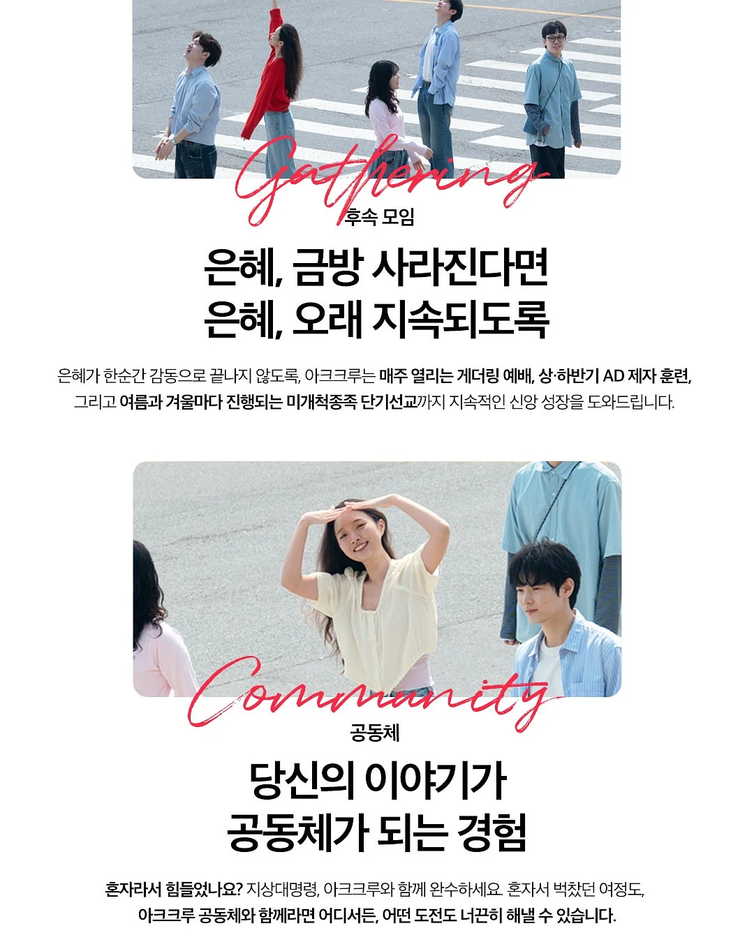백경생주 화이트 8