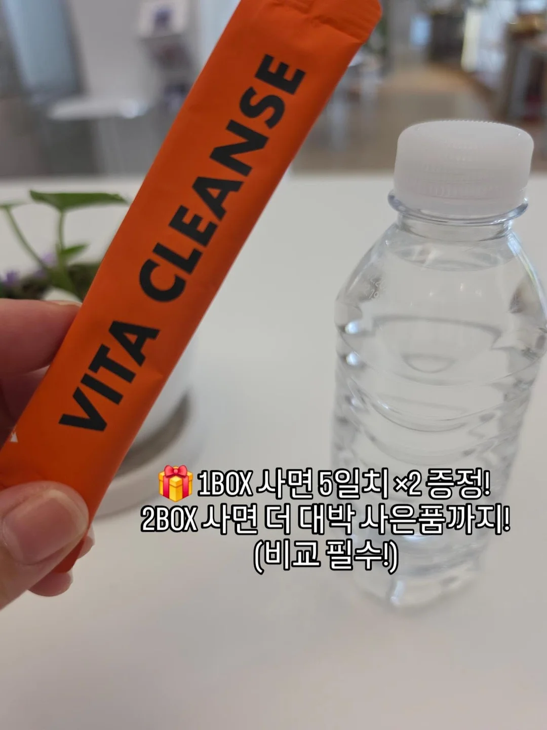 죠반니 레 5크라운 발사믹 14