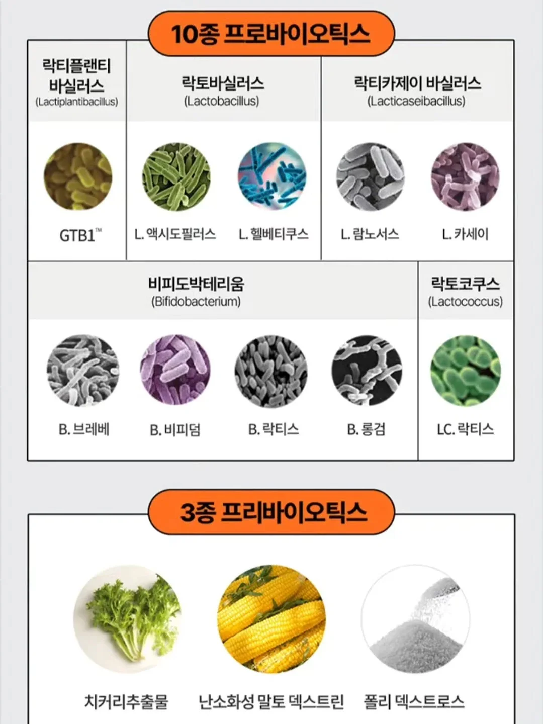 죠반니 레 5크라운 발사믹 6