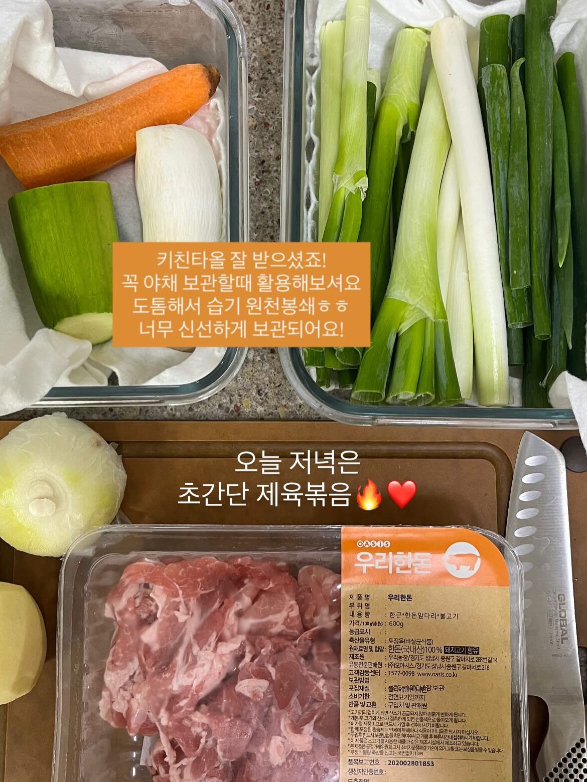칼라디움 5종 1