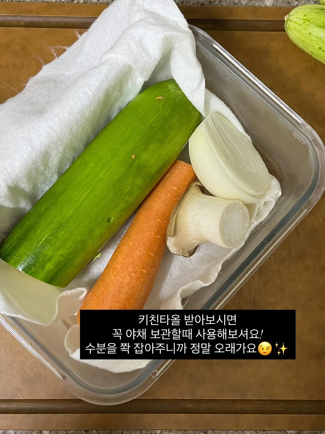 칼라디움 5종 2