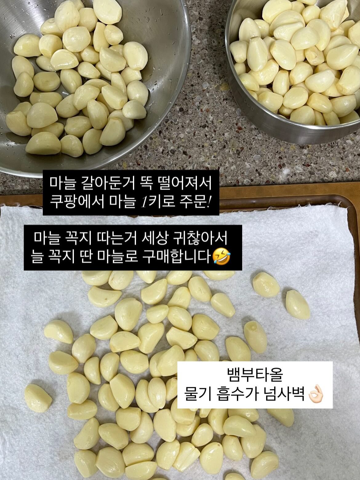 칼라디움 5종 3