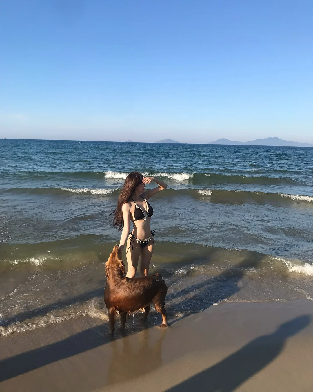 쿠션 4
