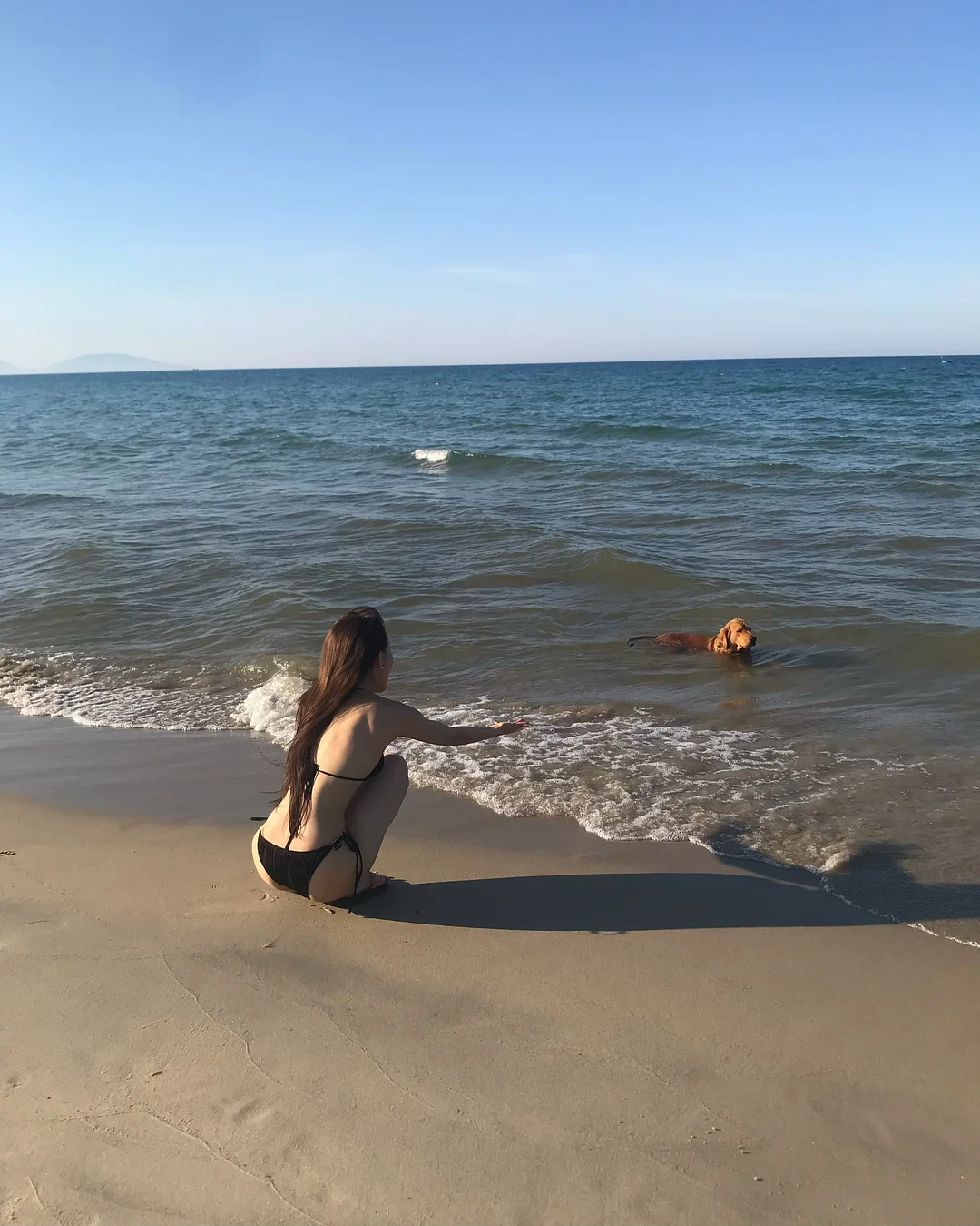 쿠션 10