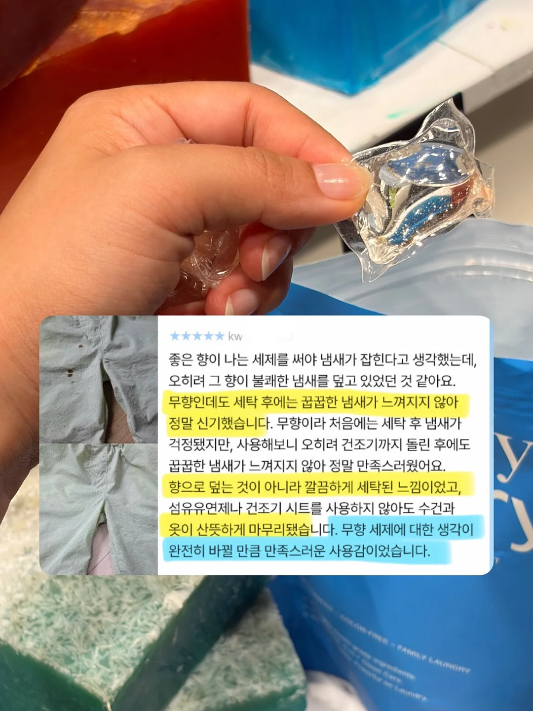 서주 포도젤로바 4