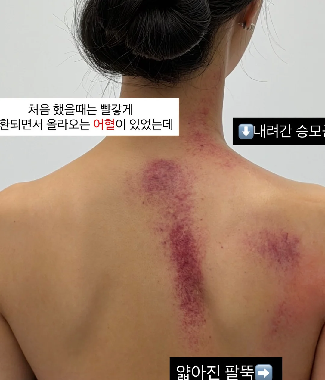 비건 호두파이 + 찹쌀파이 19