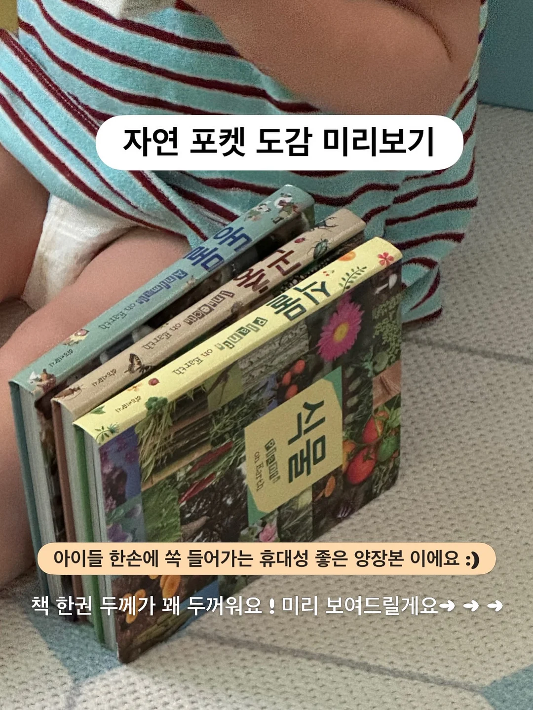 도시락 꾸미기 아이템 2