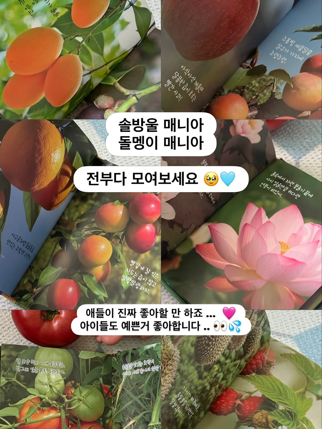 도시락 꾸미기 아이템 6