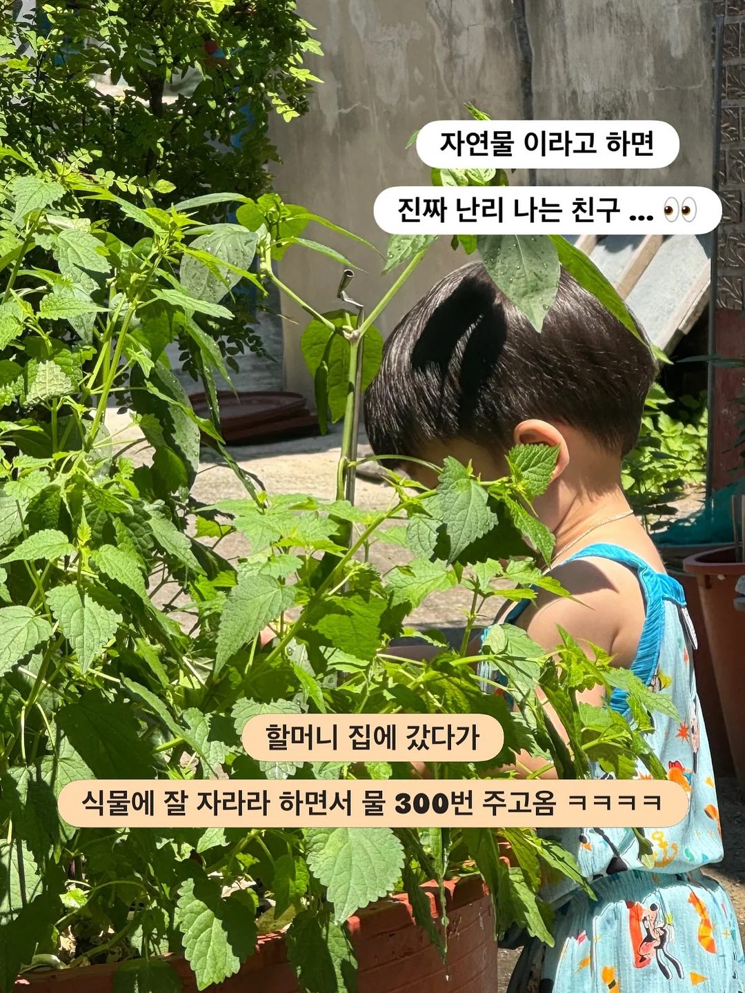 도시락 꾸미기 아이템 8