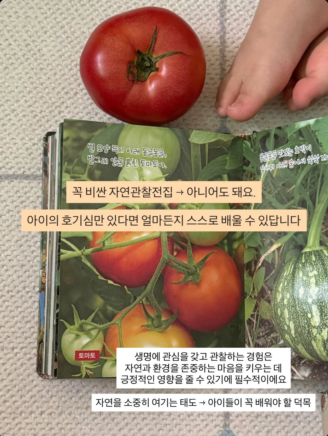 도시락 꾸미기 아이템 10