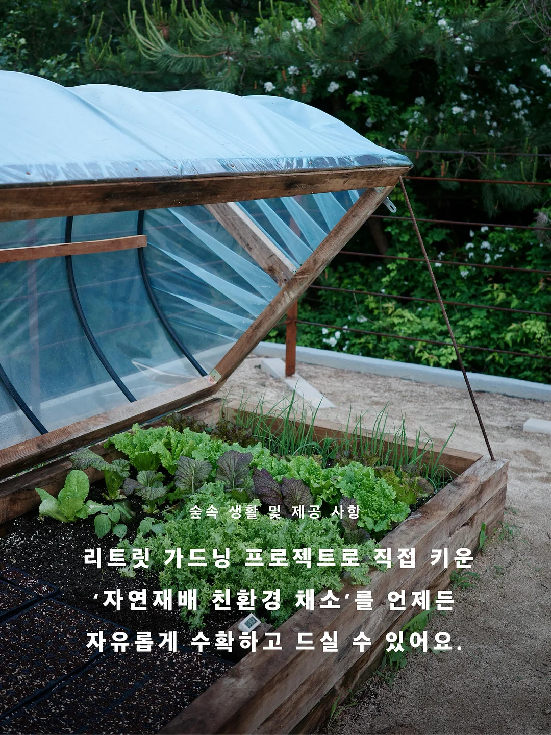 피엠쥬스 액션팩 15