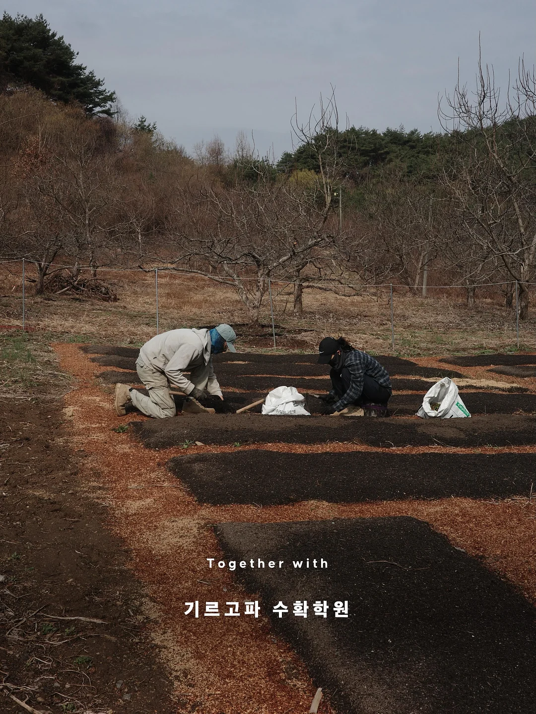 피엠쥬스 액션팩 18