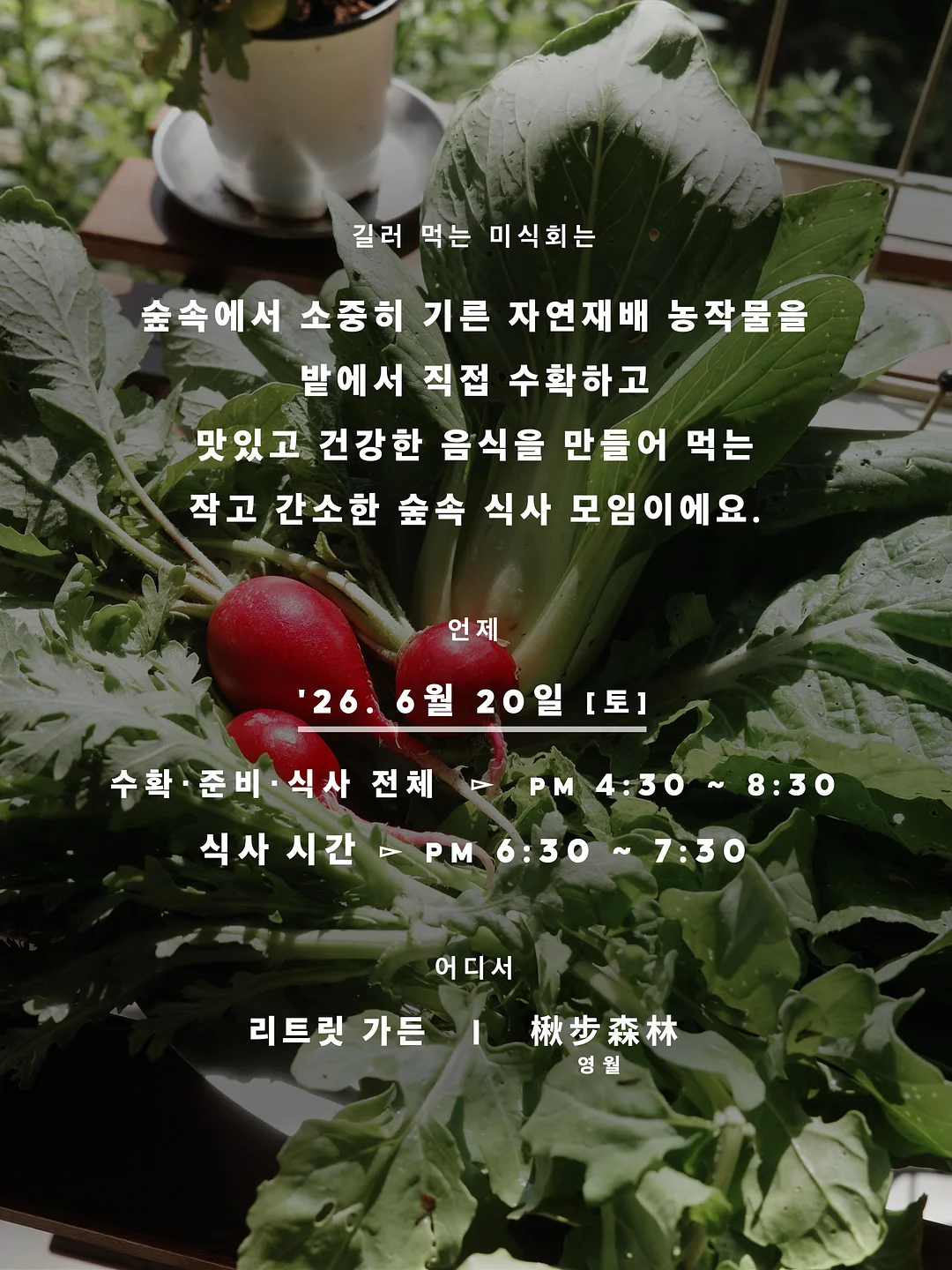 피엠쥬스 액션팩 2