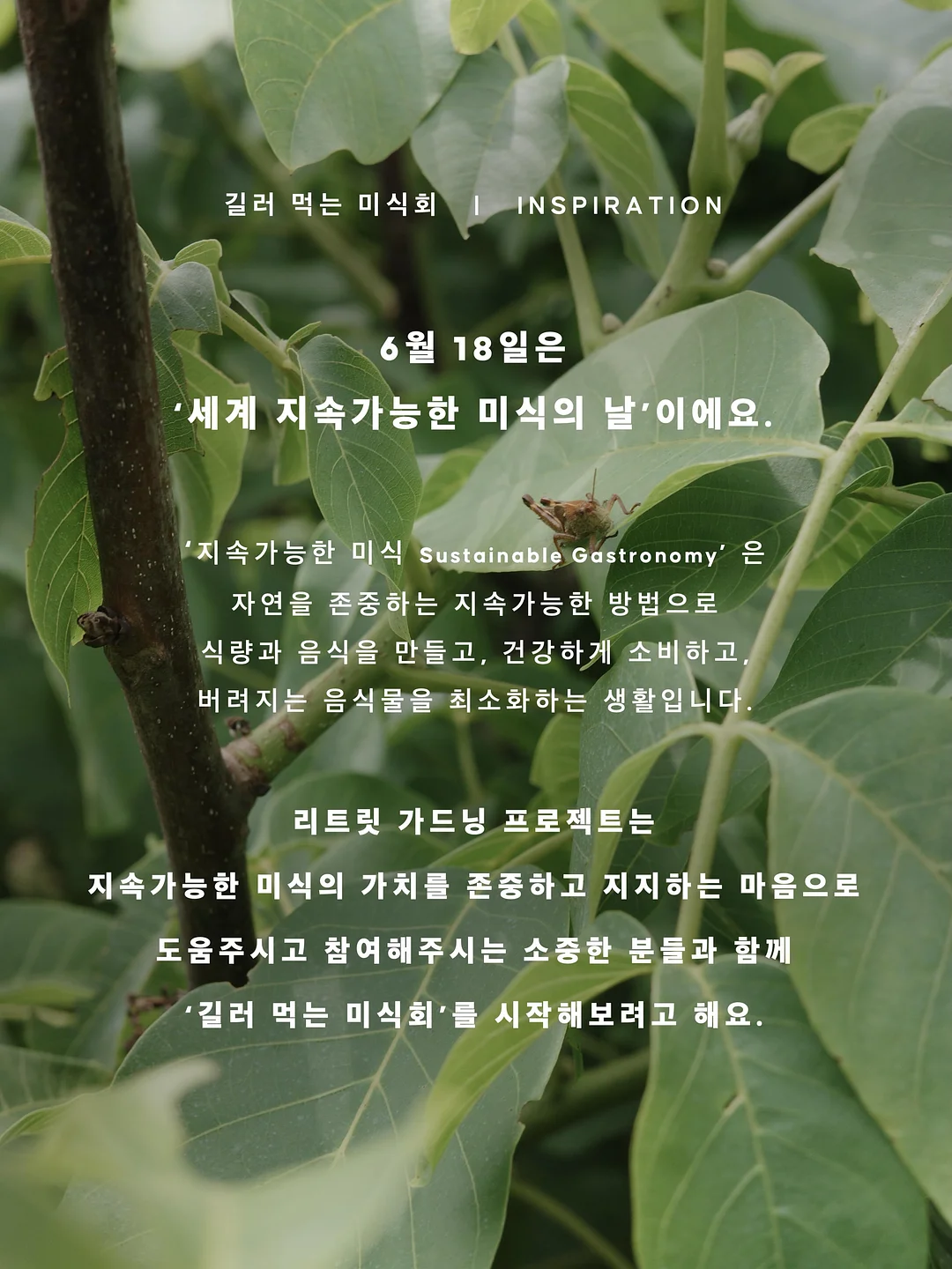 피엠쥬스 액션팩 5