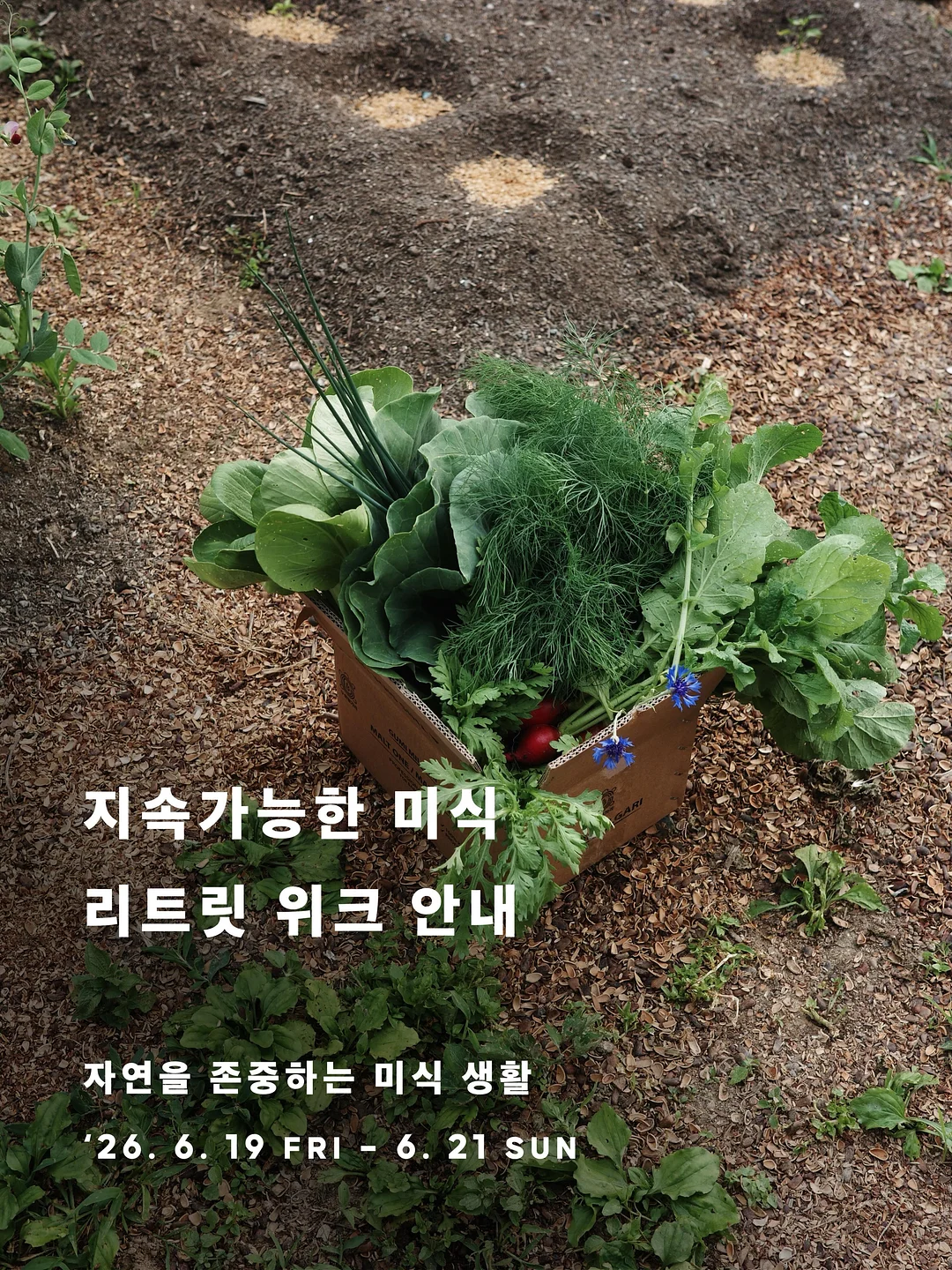 피엠쥬스 액션팩 8