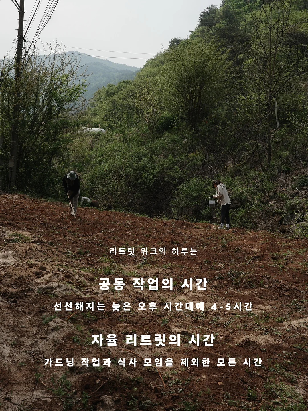 피엠쥬스 액션팩 10