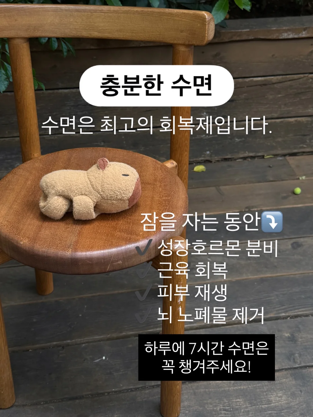 밥 8