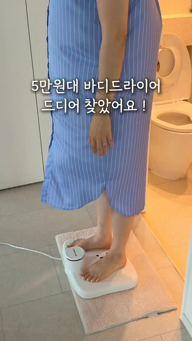 양모펠트 1급 수업