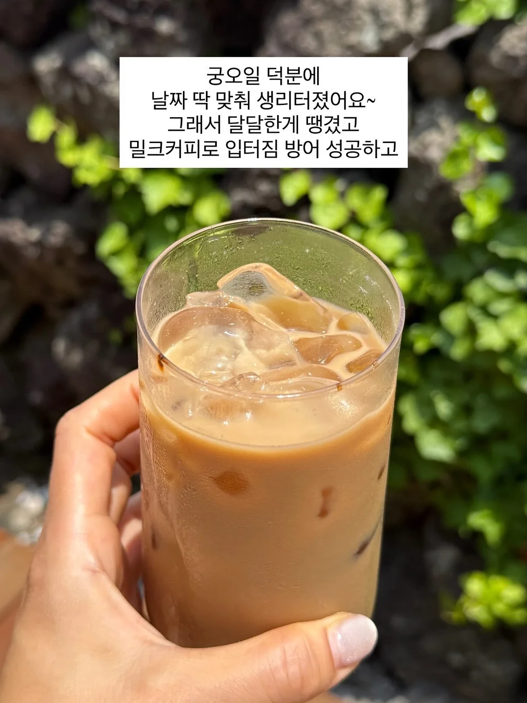 봉사 활동가 모집 1