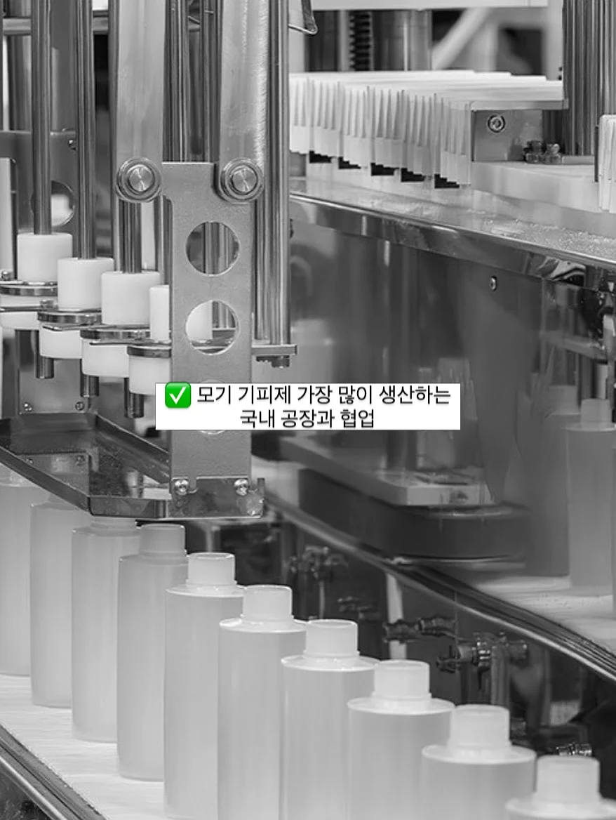 야옹이 이뮨파파 5