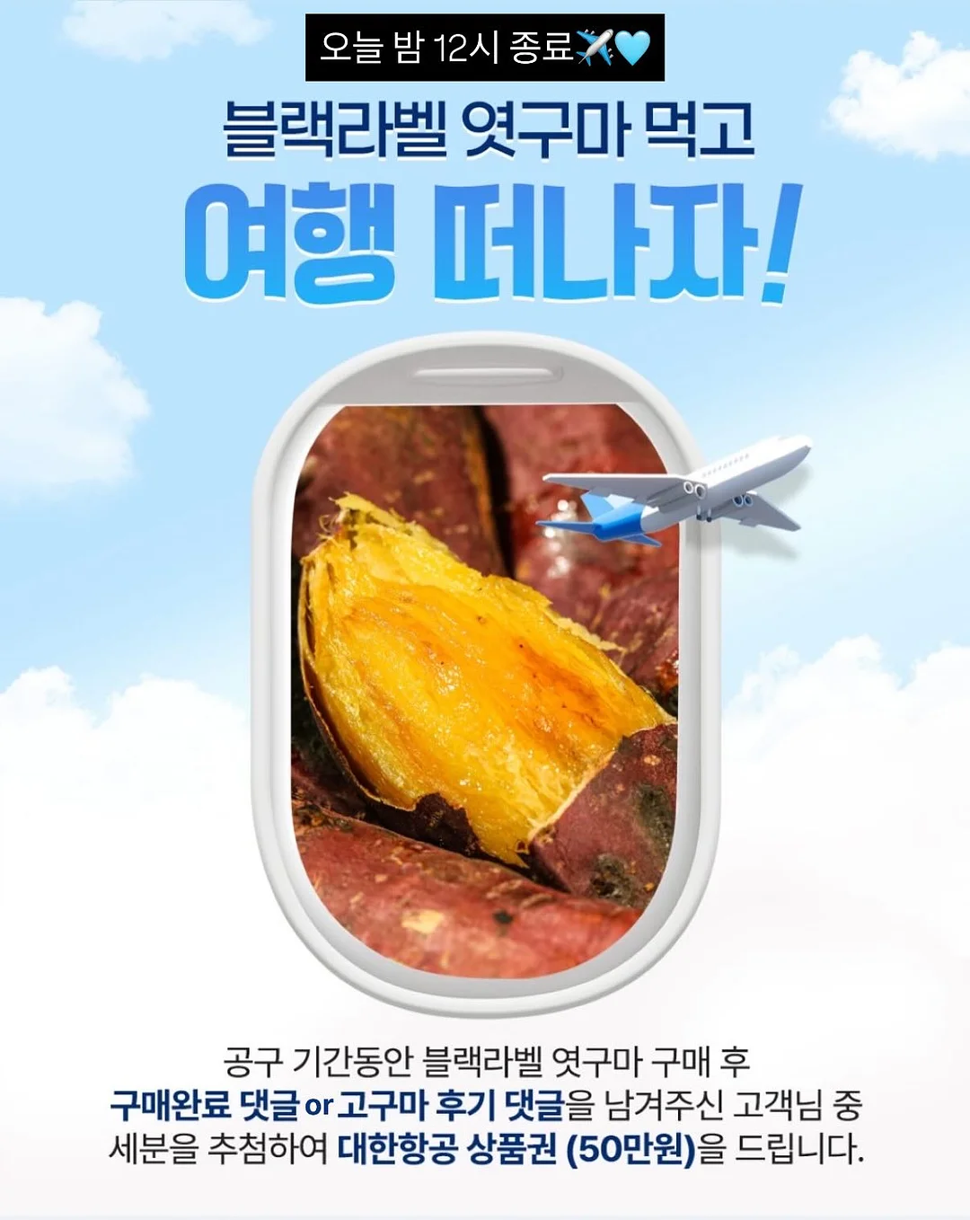 수니그룹 멤버 모집 1
