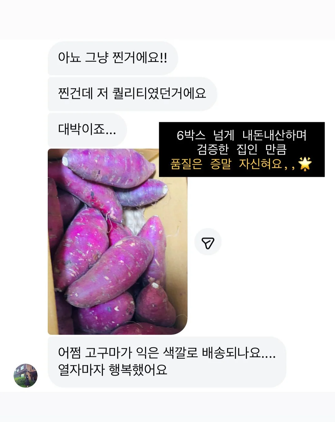 수니그룹 멤버 모집 13
