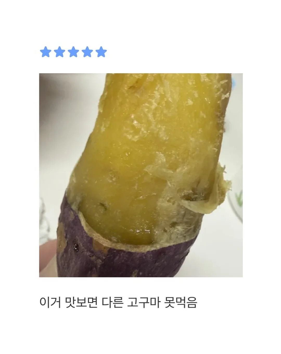 수니그룹 멤버 모집 14