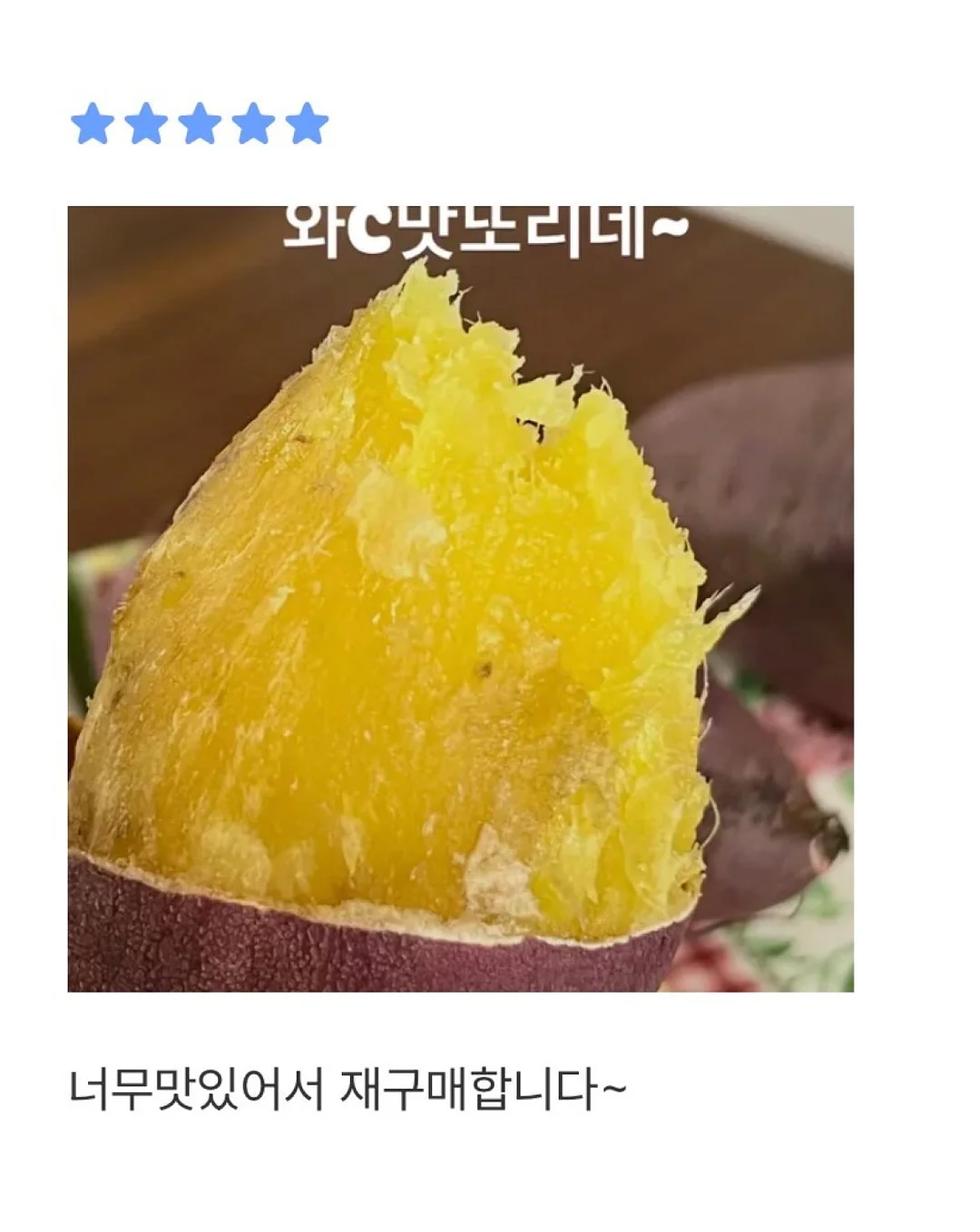 수니그룹 멤버 모집 15