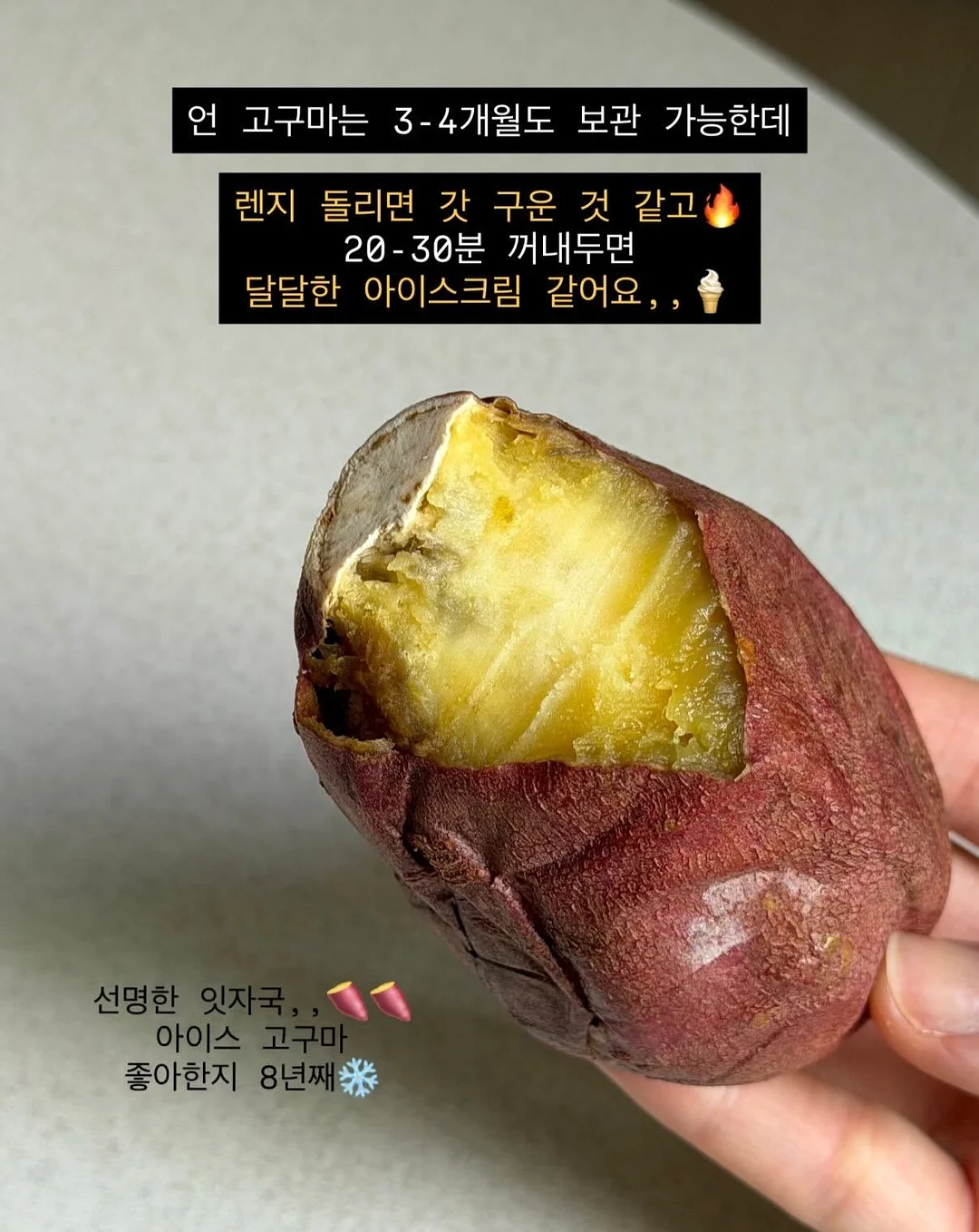 수니그룹 멤버 모집 19