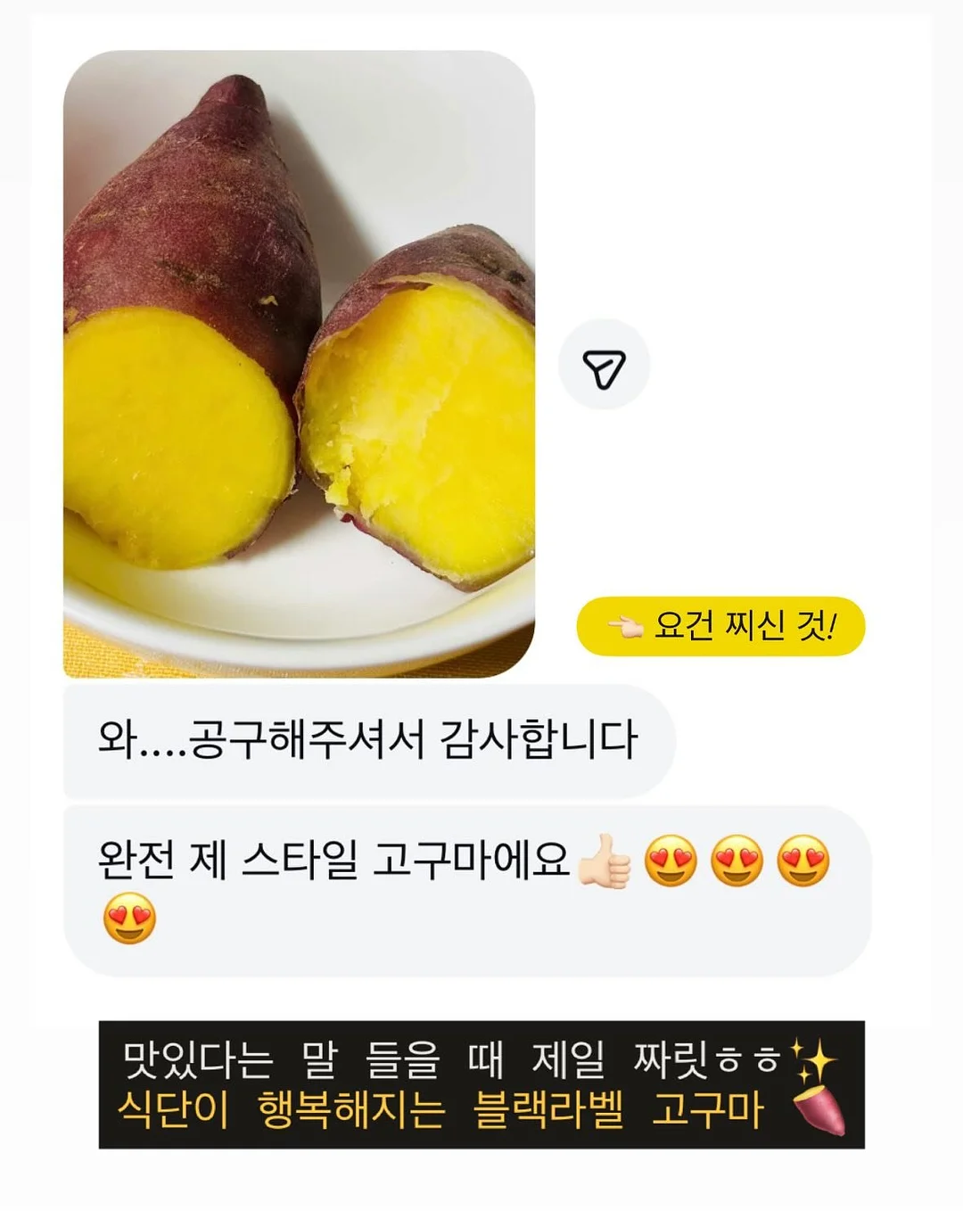 수니그룹 멤버 모집 4