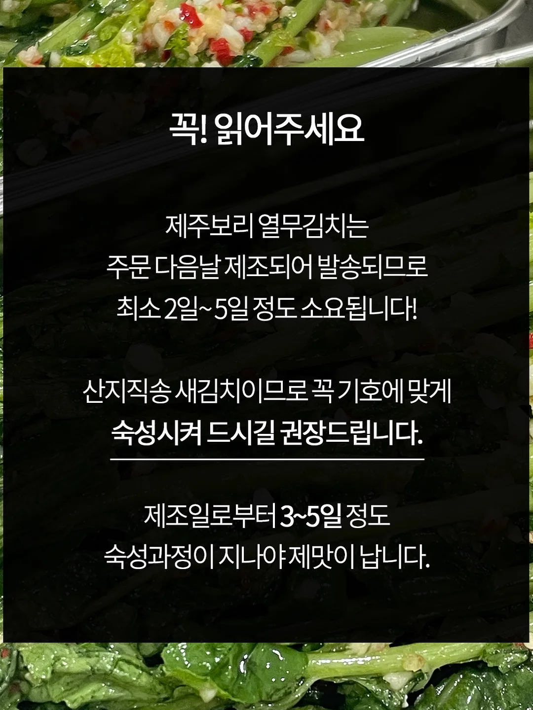 망고 6