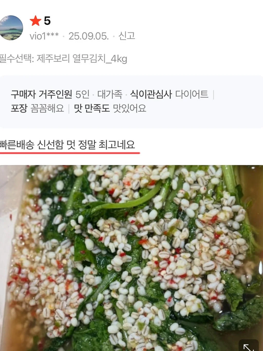 망고 9