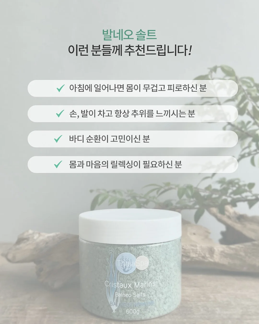 돈 찌는 체질 4