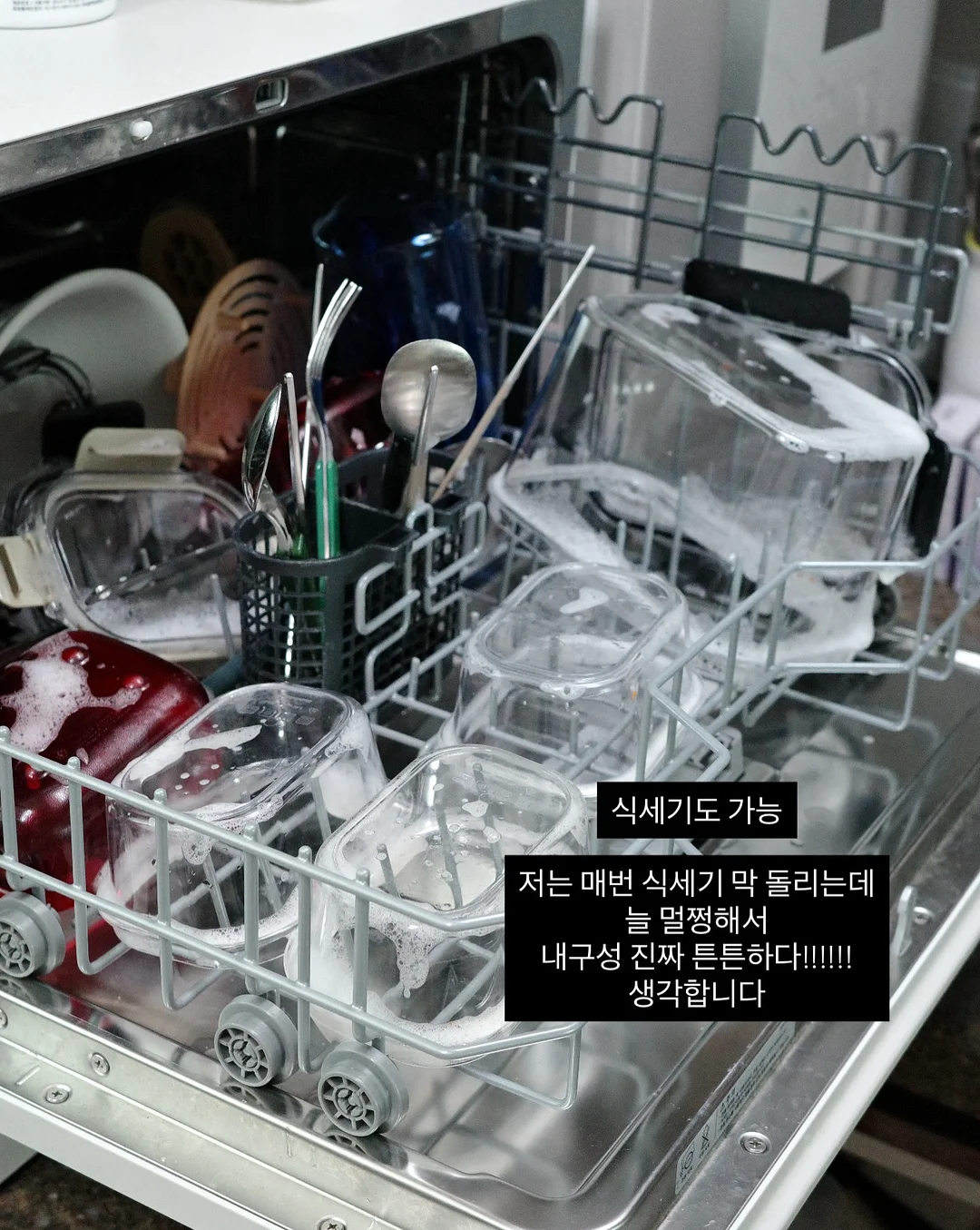 스승의날 도시락 4