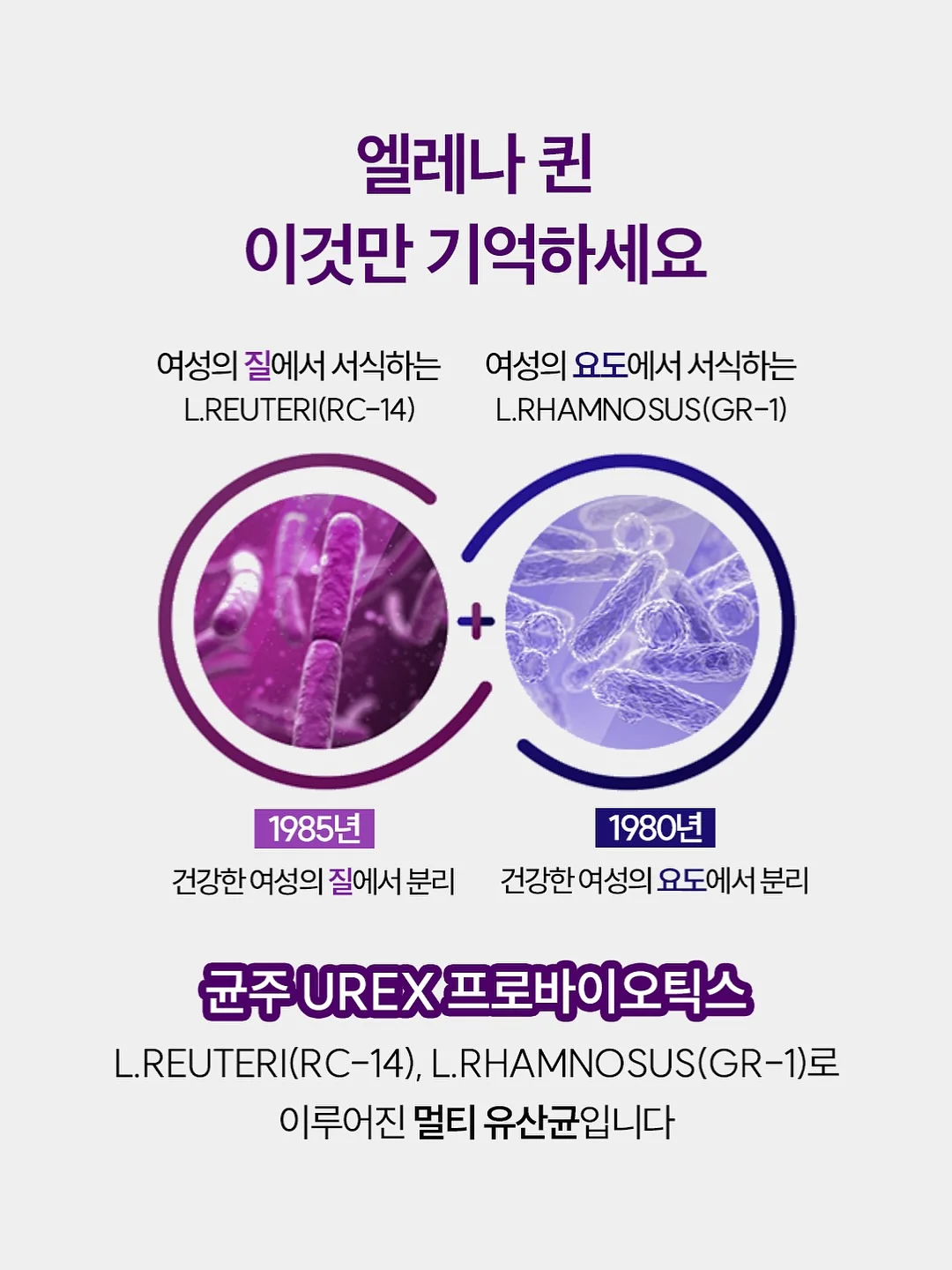 브레바 날개없는 선풍기 3