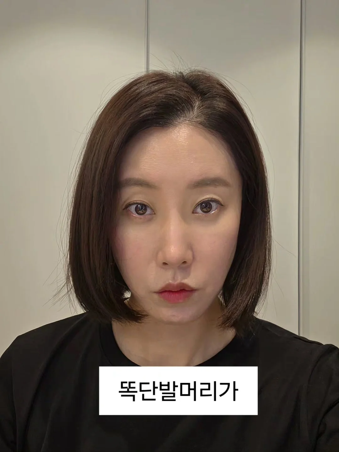 서울우유 아이펫밀크 오리지널 130ml 10개입 2