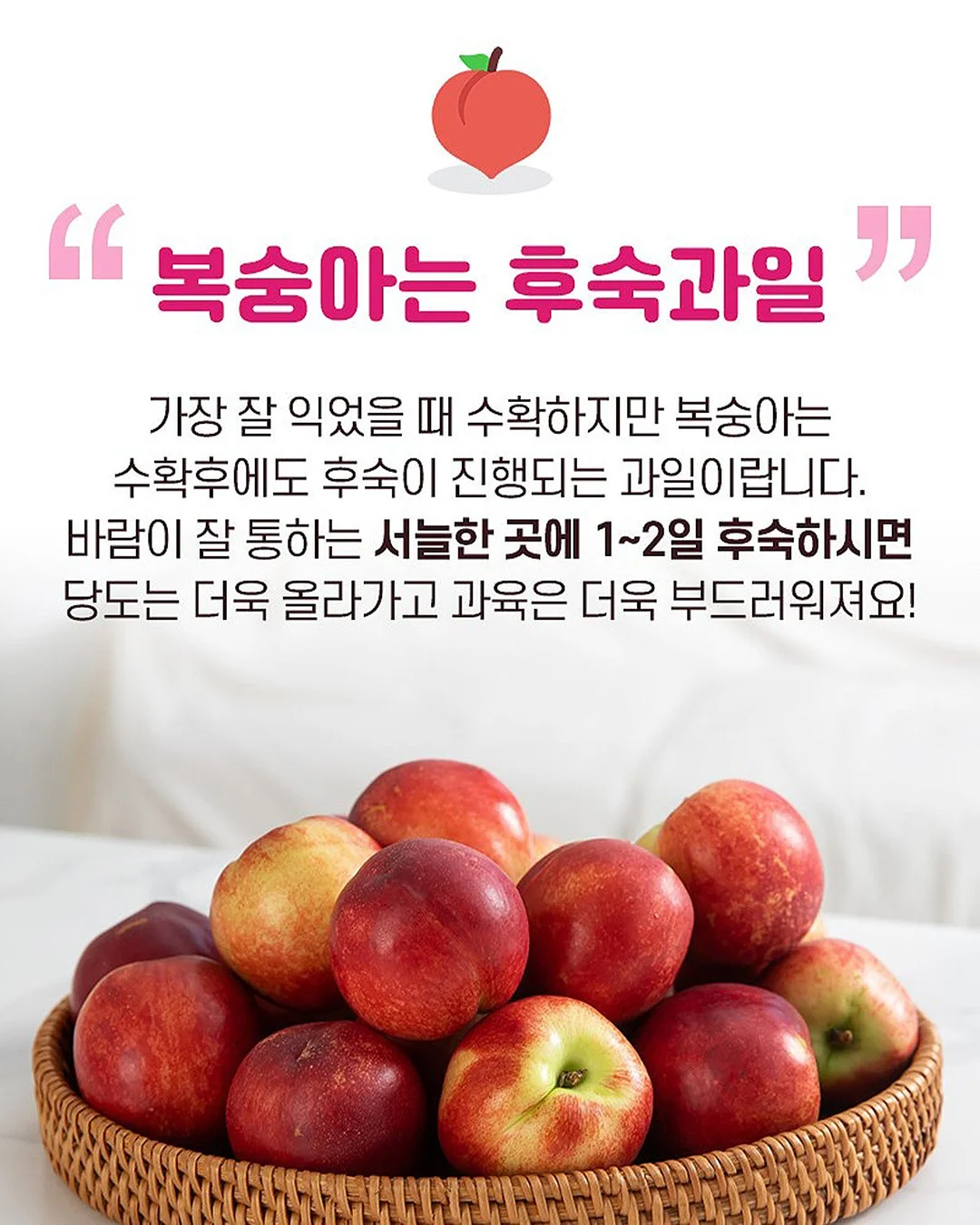 허그쿠션 5